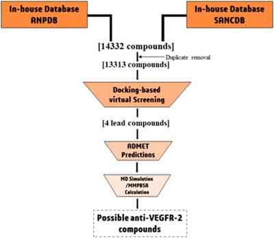 Unleashing Nature’s potential: a computational approach to discovering novel VEGFR-2 inhibitors from African natural compound using virtual screening, ADMET analysis, molecular dynamics, and MMPBSA calculations